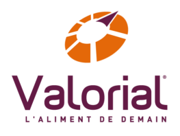 logo valorial quadri vertic transparent