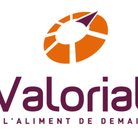 logo valorial quadri vertic transparent