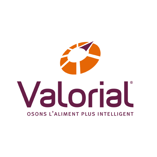 logo valorial 2017